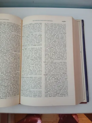 Diccionario Etimologico Espanol E Hispanico/Spa...