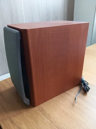 Altavoces Sony SS-CCP333 6 Ohm