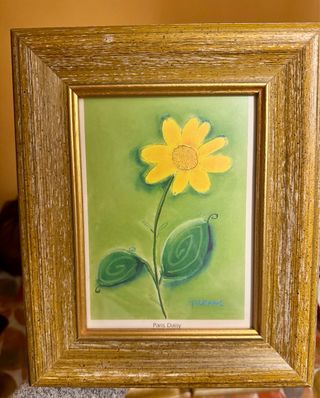 Set 4 Quadri Fiori Colorati