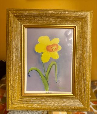 Set 4 Quadri Fiori Colorati