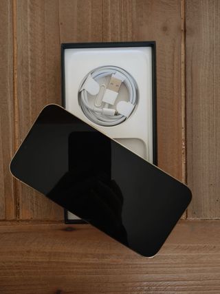 iPhone 13 Pro Max 256GB Oro