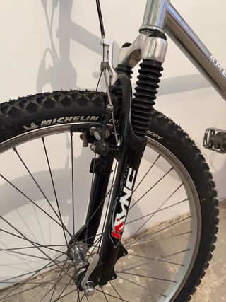 Bicicleta BTT Vintage Amerbik