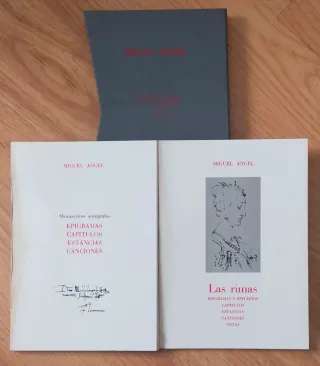 MIGUEL ÁNGEL - RIMAS Y MANUSCRITOS - LIBRO