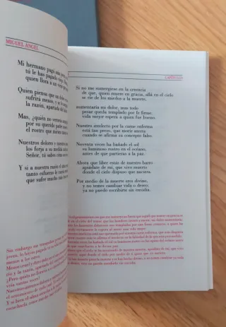 MIGUEL ÁNGEL - RIMAS Y MANUSCRITOS - LIBRO