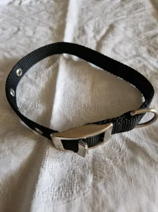 Collare per cani/gatti t.S