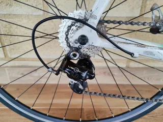 Bicicleta Zeus Roubaix