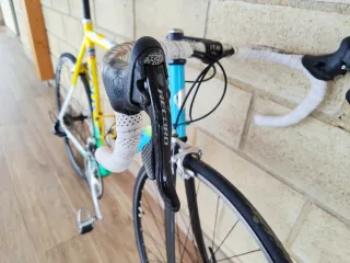 Bicicleta Zeus Roubaix