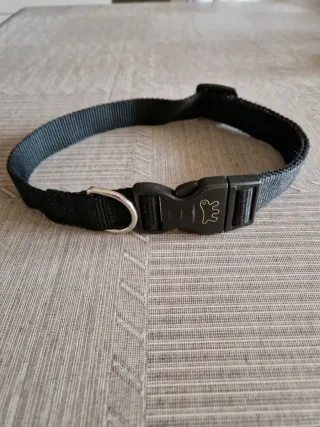 Collare regolabile per cane