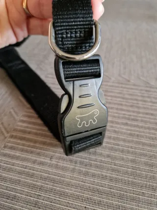 Collare regolabile per cane