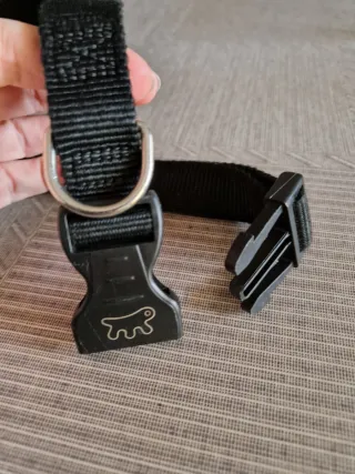 Collare regolabile per cane