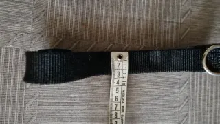 Collare regolabile per cane