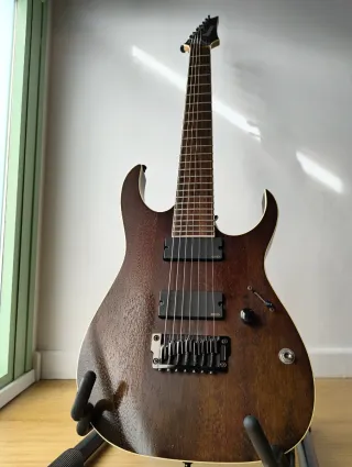 Ibanez RGIR27BFE Iron Label + Hard Case