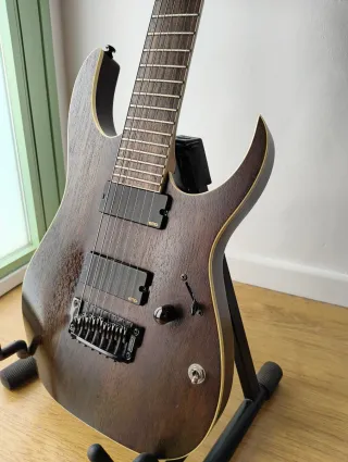 Ibanez RGIR27BFE Iron Label + Hard Case