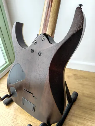 Ibanez RGIR27BFE Iron Label + Hard Case