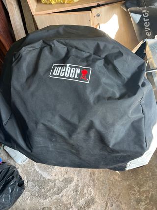 Barbacoa Weber Pulse Nero e Argento