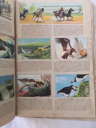 Álbum de cromos antiguo Selva Misteriosa