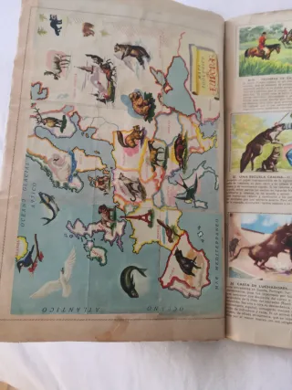 Álbum de cromos antiguo Selva Misteriosa