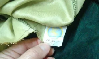 Costume Robin Hood anni 2 Pegasus