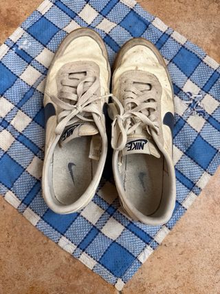 Zapatillas Nike Beige y Azul