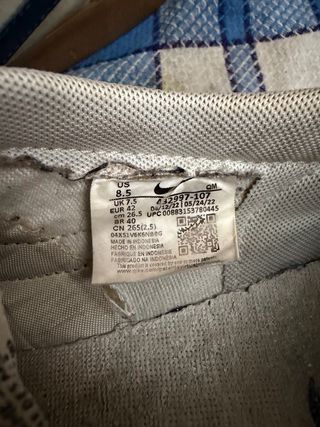 Zapatillas Nike Beige y Azul