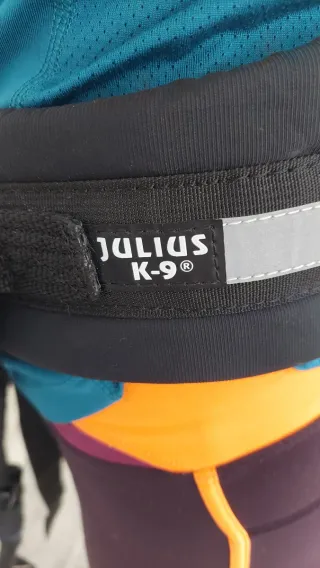 Cinturón y correa Canicross Julius K-9 Negro/gris