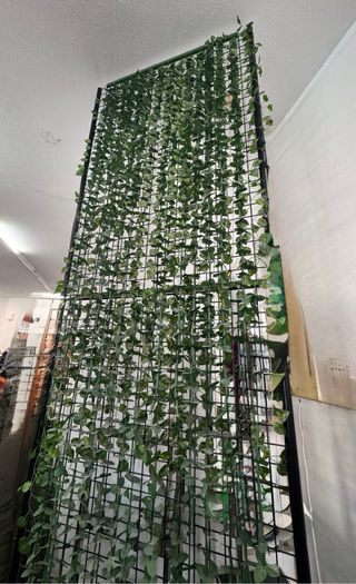 Cortina Decorativa con Hiedra Artificial