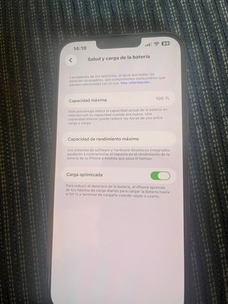 iPhone 13 Pro Max Grafito