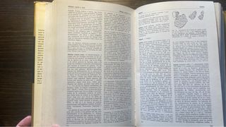 Diccionario de la Biblia. Herder 1970