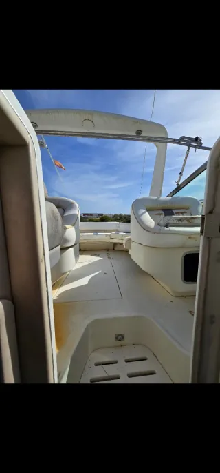Barca SEA RAY 38 SS