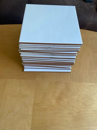 Baldosas Blancas 20x20 cm