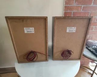 Coppia casse Kenwood