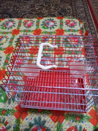 Jaula para pájaros roja y gris