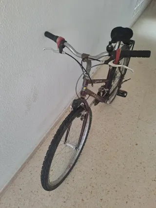 Bicicleta BH Trekking