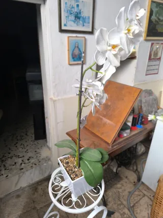 Orchidea artificial decorativa Prodotto nuovo