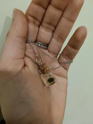 Portafortuna Marimo Originale