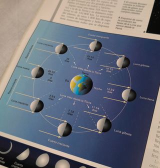 ¡OFERTA! Lote 12 Diccionarios y Libros Info