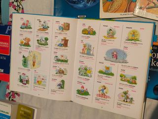 ¡OFERTA! Lote 12 Diccionarios y Libros Info