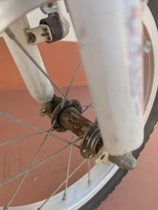 Bicicleta Infantil Rosa 14" WST MTB Girl Elegant