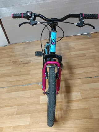 Bicicleta Infantil Megamo 20 Azul