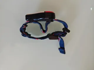 Pokemon GO Plus Nintendo