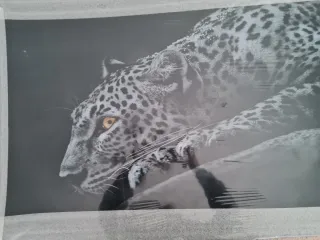 Cuadro de cristal con leopardo