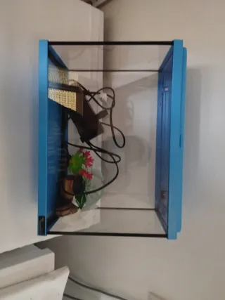 Pecera azul y transparente