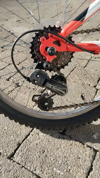 Bicicleta Infantil 20 Pulgadas