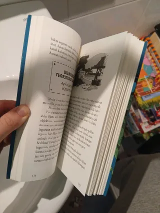 Amaia lapitz eta erregina gorriaren hilobia