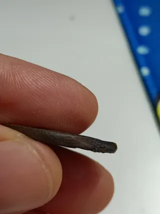 Follis Romano Bronce Antiguo