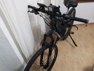 Bicicleta Eléctrica Wolfbike 29