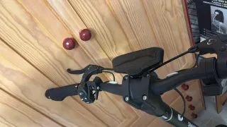 Patinete Eléctrico SmartGyro K2 Pro