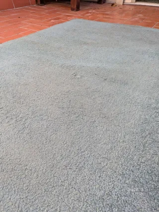 Alfombra Ikea Langsted Teal