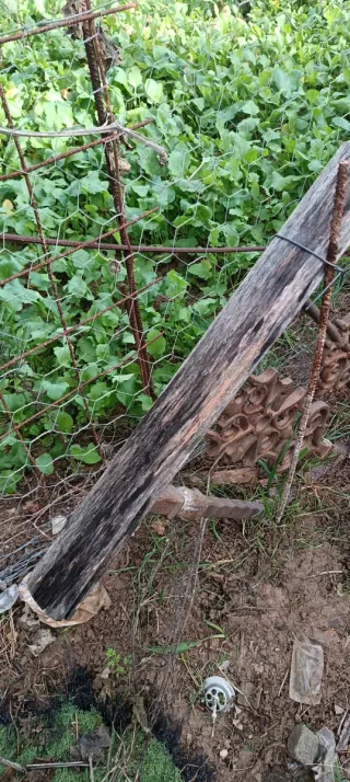Escaleras antiguas decorativas