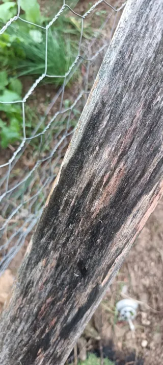 Escaleras antiguas decorativas